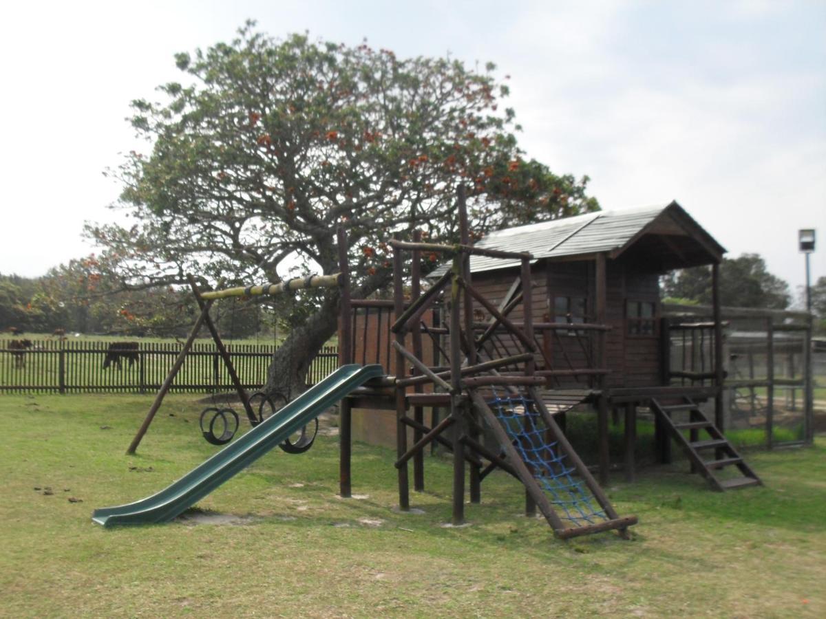 Soloko Game Farm Villa Kareedouw Luaran gambar